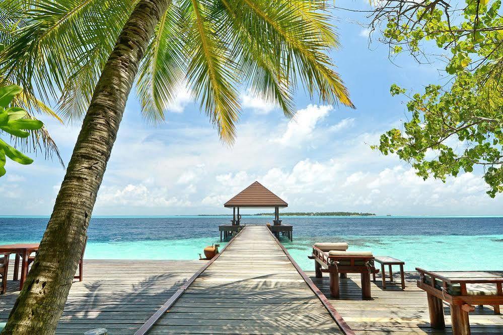 Ranveli Village Villingilivaru Island Zewnętrze zdjęcie